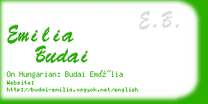 emilia budai business card